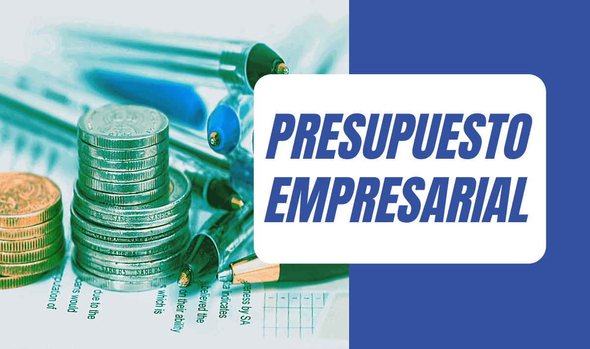 2024-2 / CON-420 - 1 / Presupuesto Empresarial / Diogenes Marte /  