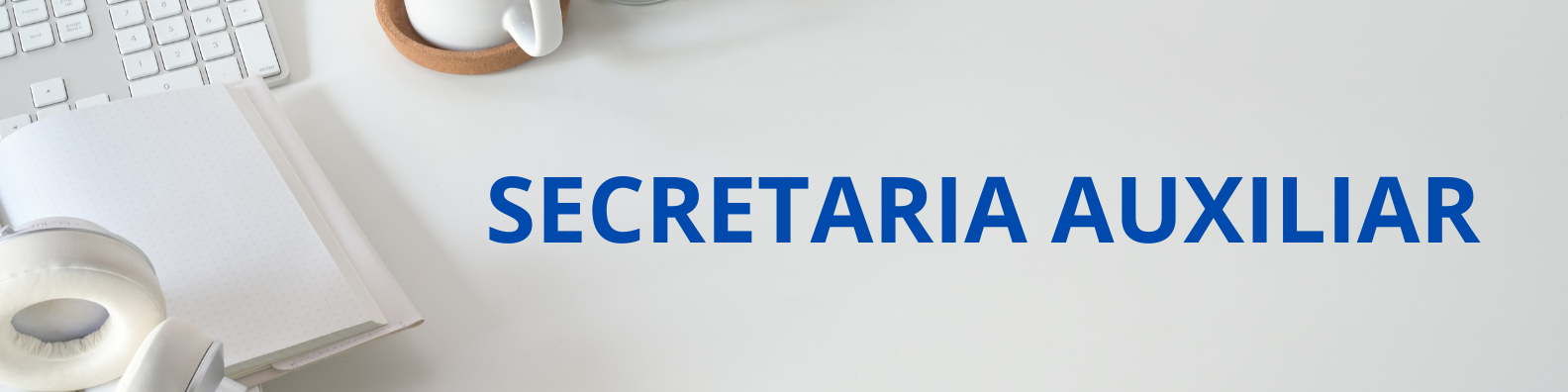 AUXILIAR DE SECRETARIA 