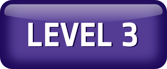 Level 3_03-21